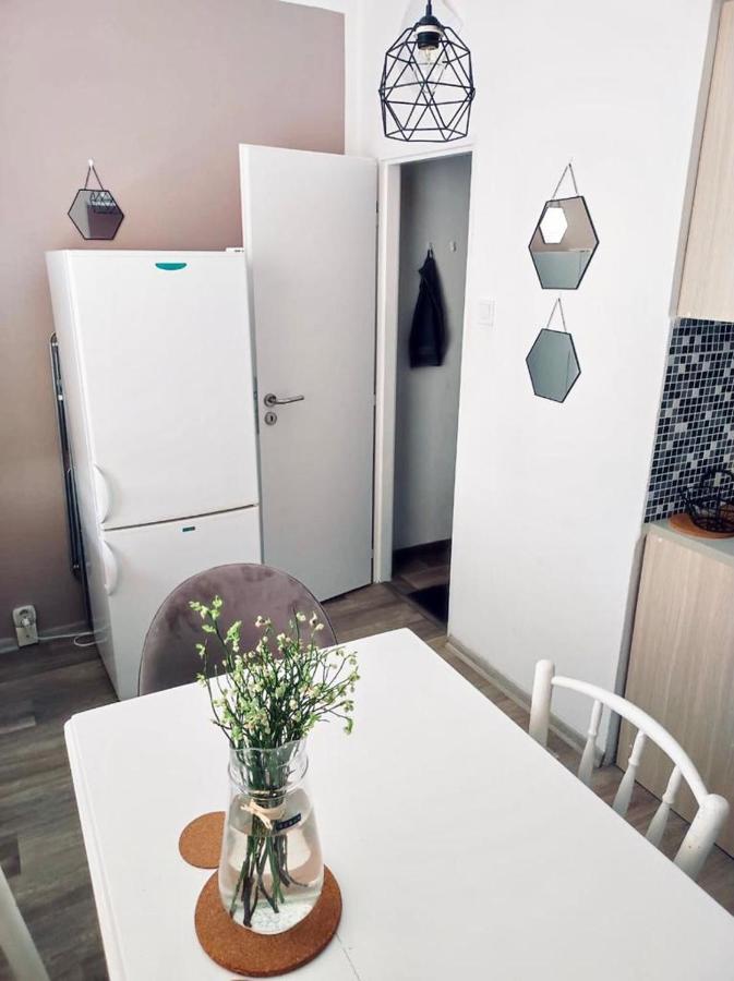 Apartmán Domov Děčín Exterior foto
